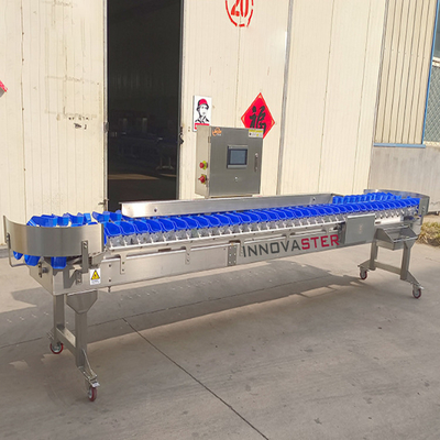 220V/380V Машина для сортировки курицы, морепродуктов креветок и рыбы