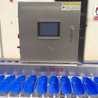Коммерческое использование Машина для сортировки овощей для морепродуктов Рыба Креветки Ракушки
